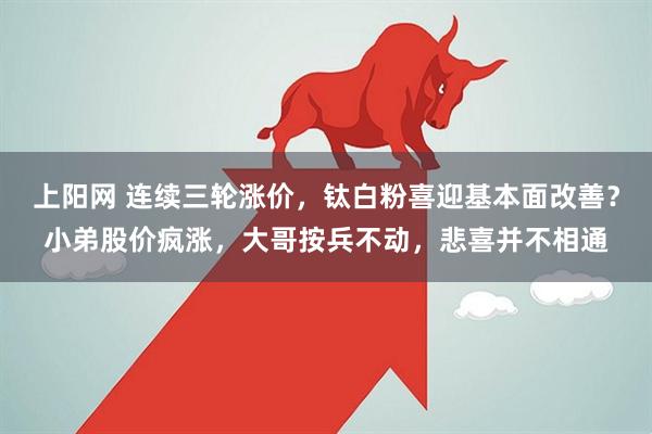 上阳网 连续三轮涨价，钛白粉喜迎基本面改善？小弟股价疯涨，大哥按兵不动，悲喜并不相通