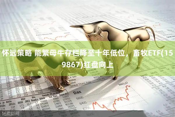 怀远策略 能繁母牛存栏降至十年低位，畜牧ETF(159867)红盘向上