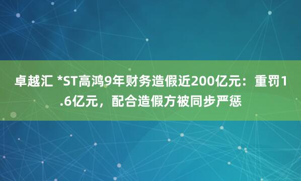 卓越汇 *ST高鸿9年财务造假近200亿元：重罚1.6亿元，配合造假方被同步严惩